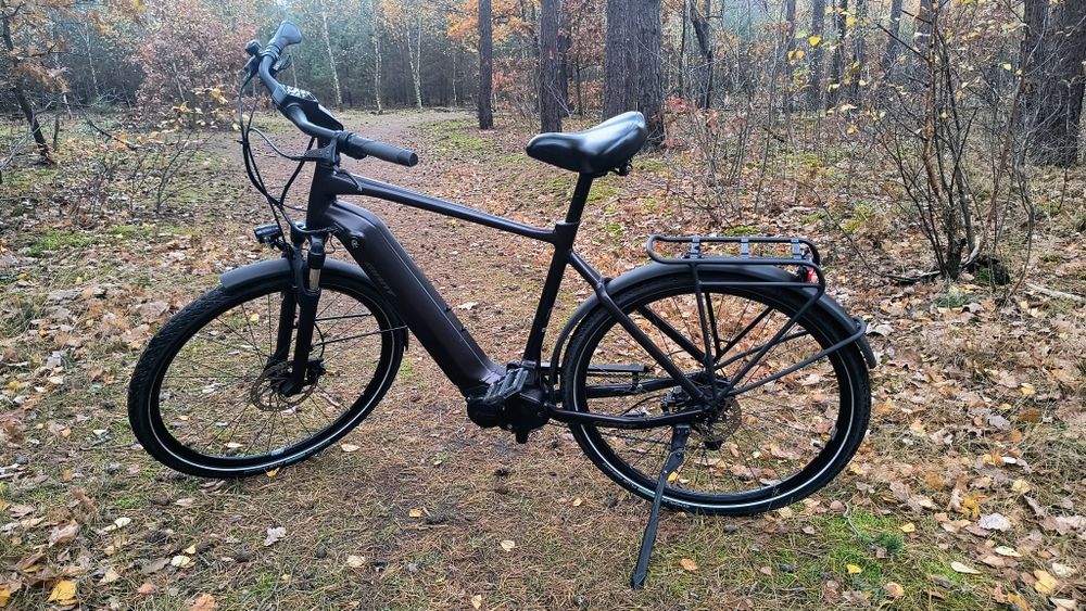 Rower elektryczny e-bike Giant ANYTOUR E+ 3 GTS 2021 rozmiar L3