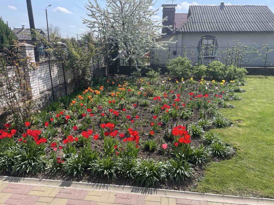 Продаж приватного будинку від власника м.Бар, вул.Галицьких вояків 63