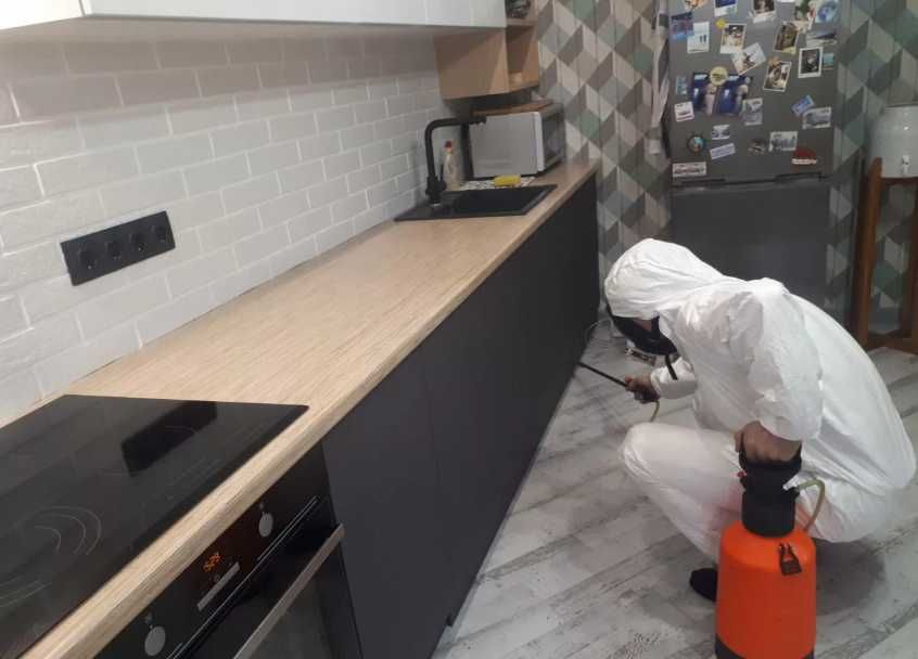 Уничтожение блох и клещей в доме обработка мебели ковров животных зон