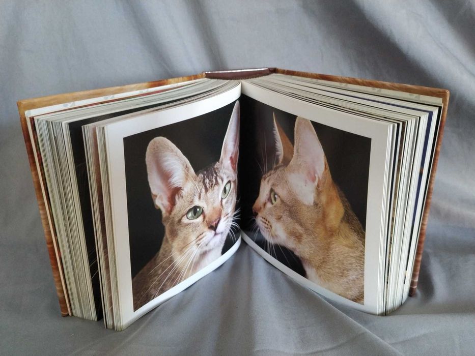 Livro - GaTTi de Adriano Bacchella