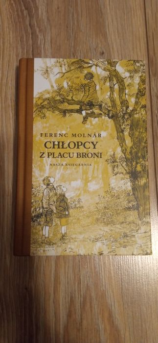 Chłopcy z placu broni. Lektura