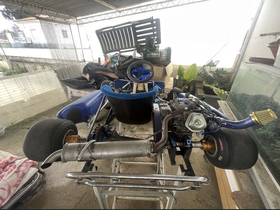 Kart 270 evo 2 b