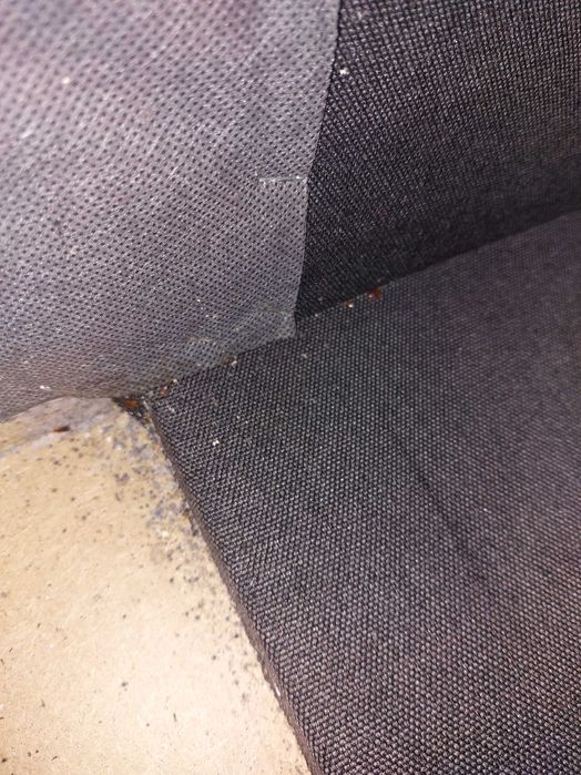 Dezynsekcja; Dezynfekcja; Deratyzacja likwidacja gniazd os i szerszeni