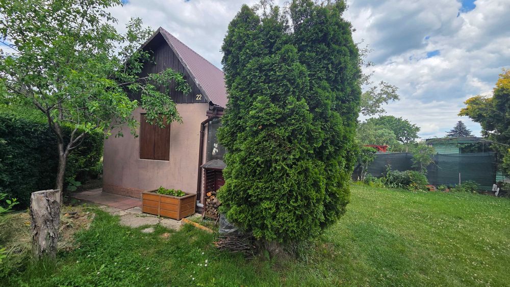 Ogródek działkowy - Widok 2