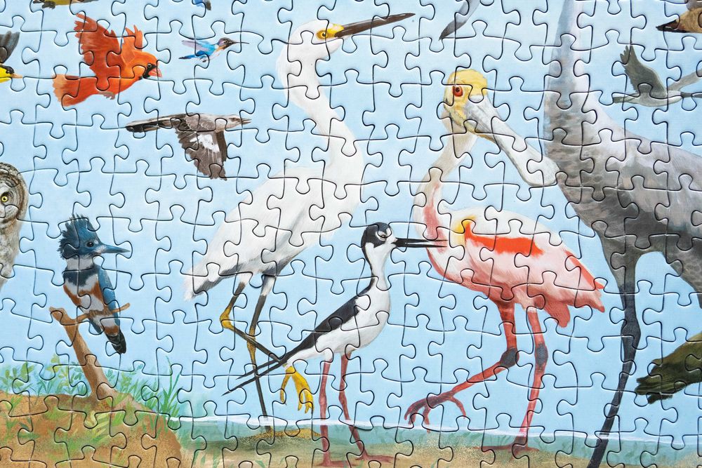 Puzzle Peter Pauper Press All the Birds 1000 el kompletne