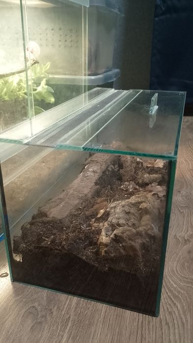 Терраріум 40х20х20