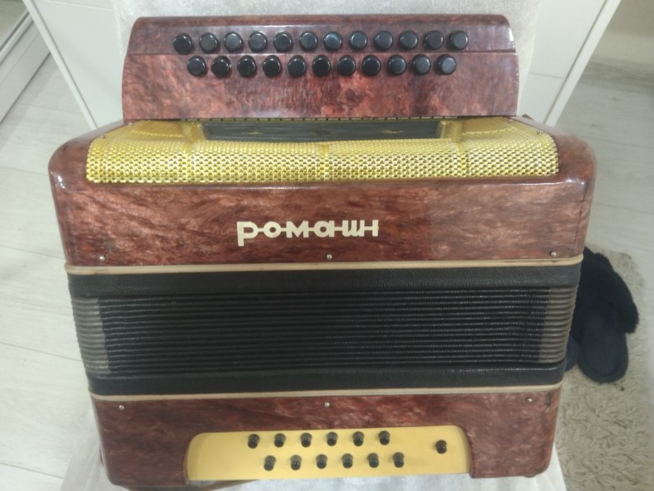 Гармошки  часів СРСР  (багато).