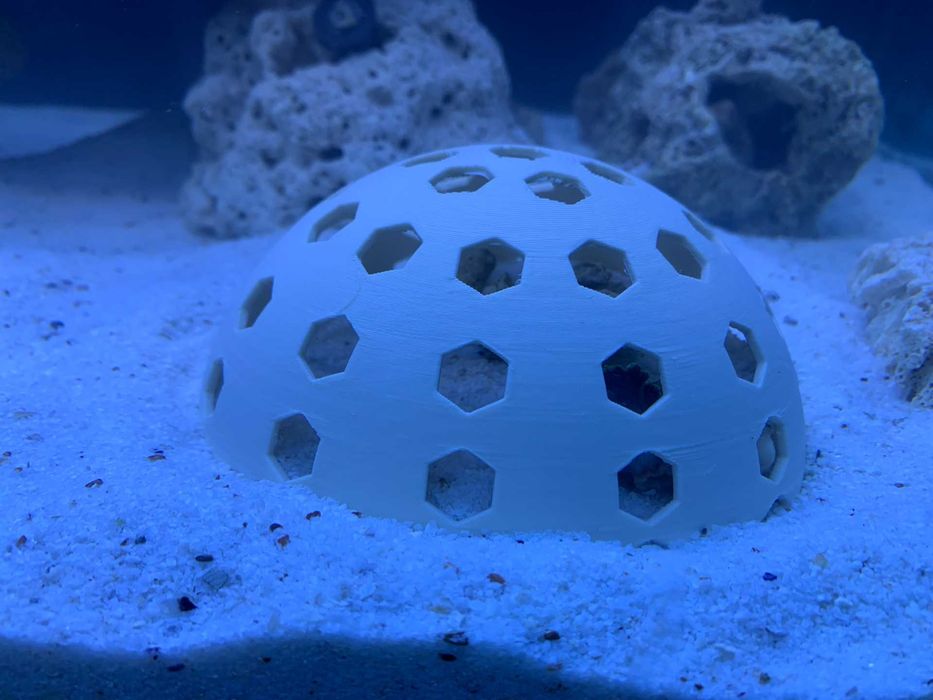 Gaiolas de Coral – Reef Safe