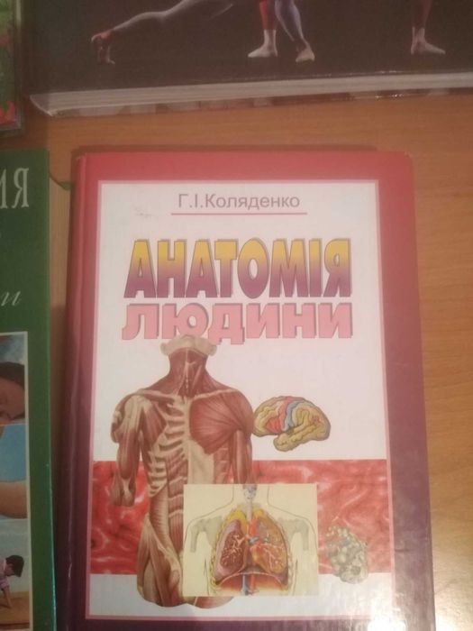 Продам книгу Анатомія людини
