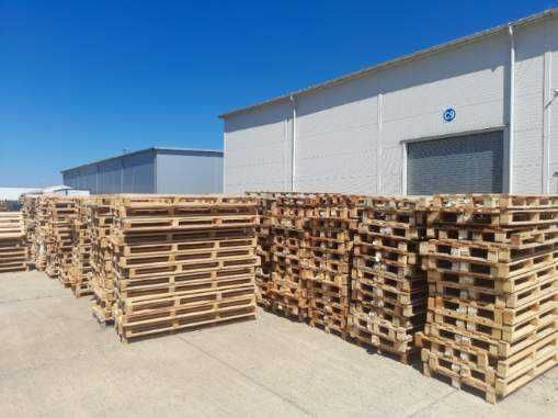 Mobilny skup palet własny transport