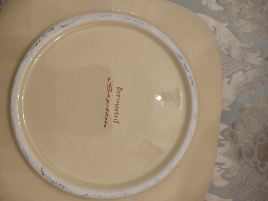 Plate or Pocket Organizer442413065312686081