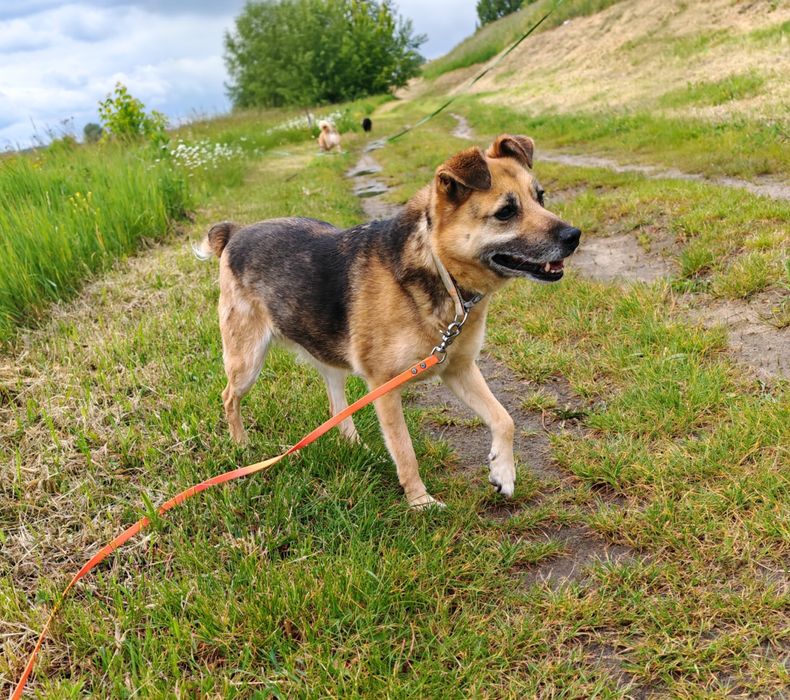 Jadzia szuka domu!!!