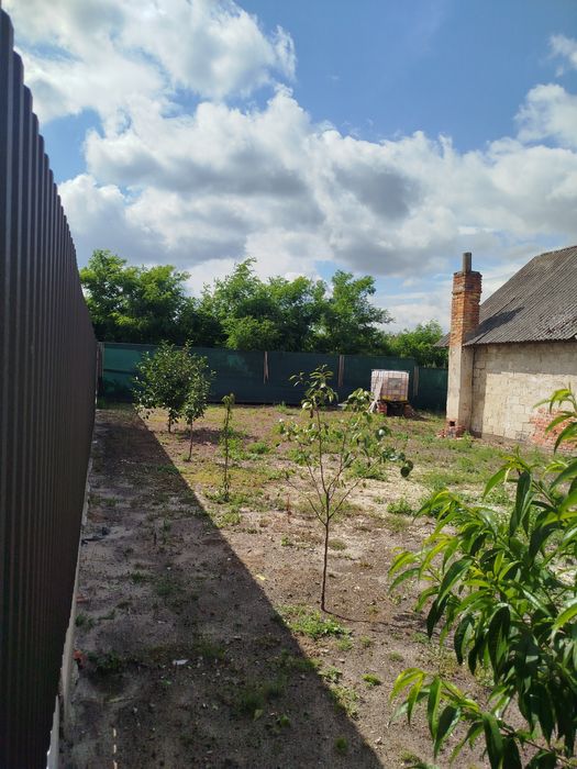 Приватний будинок  с.Павлів. 60сот.  землі.