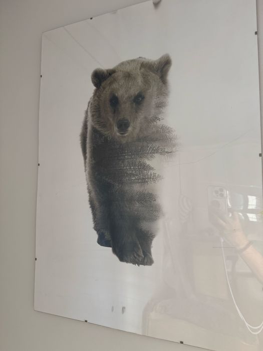 Quadro de urso com moldura