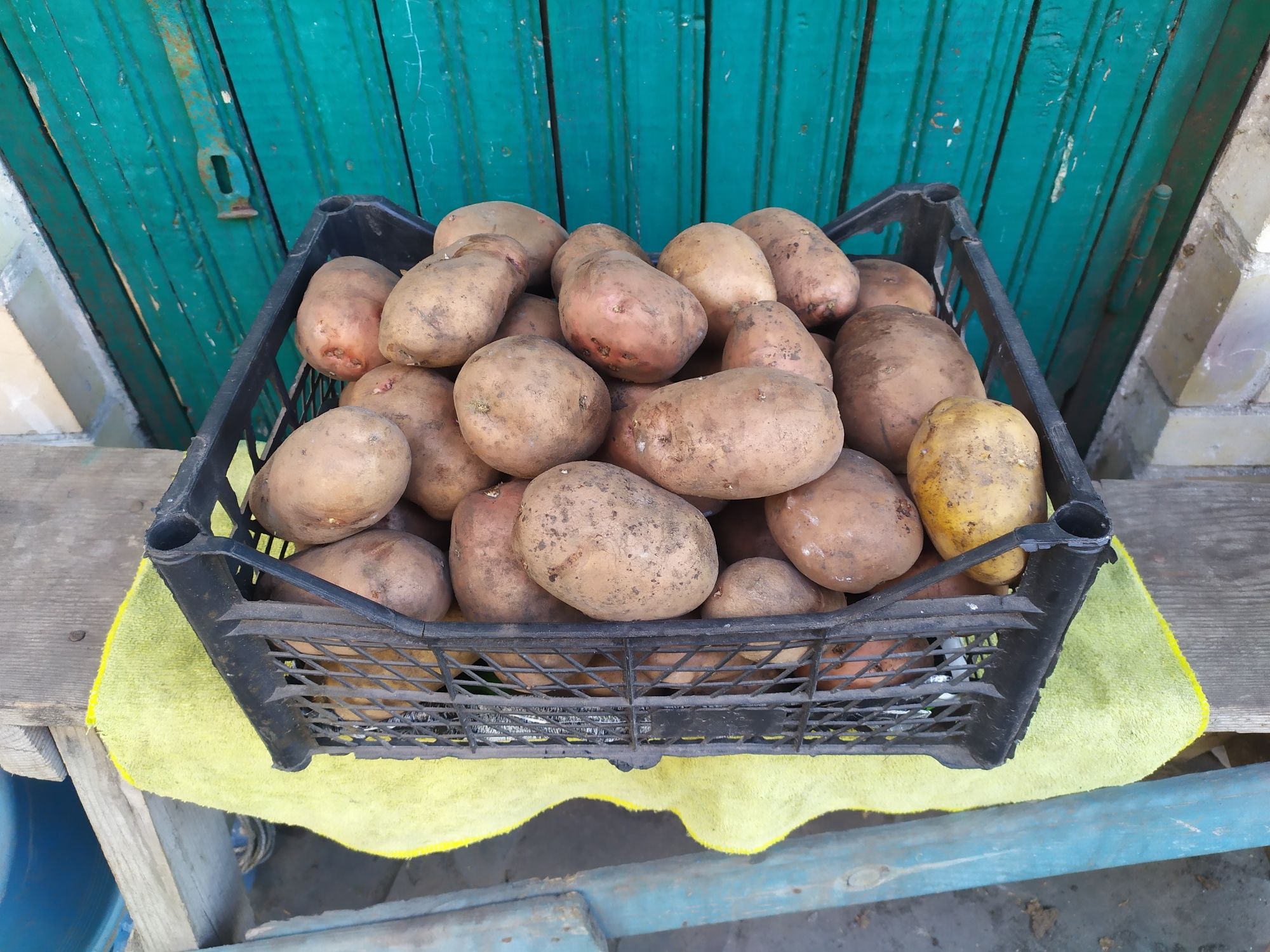 Внимание! Крупная картошка! Картошка Киев: 20 грн. - Продукти ...