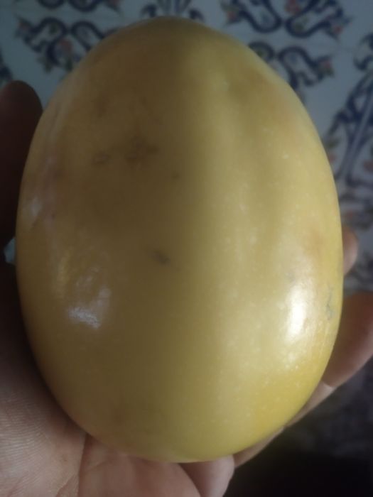 Plantas de maracujá  Melão