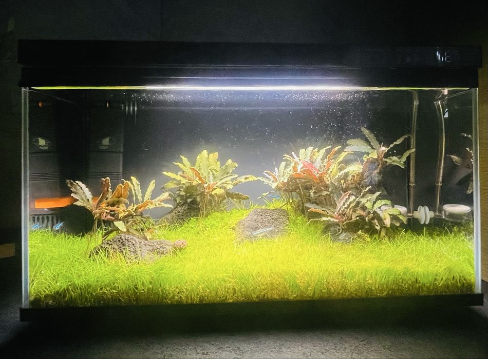 Akwarium 20L Optiwhite Xiaomi Mijia-sterowanie aplikacją