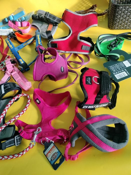 Шлея для собаки Європа