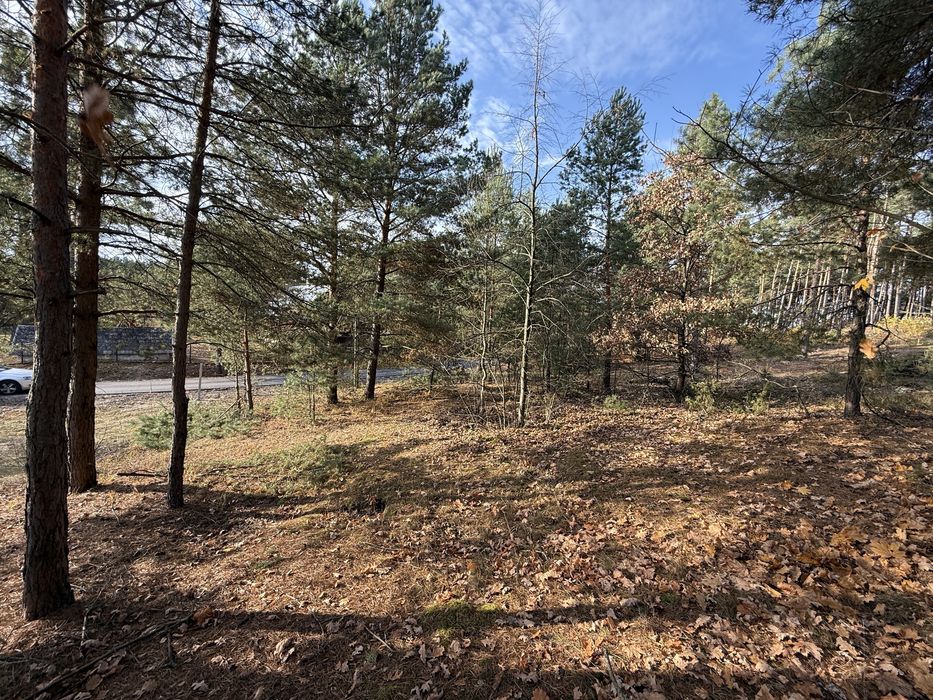 Działka Budowlana 24ar - View 2