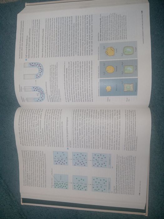 Книга на английском Биология