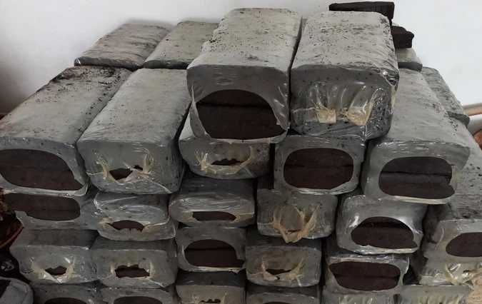 Brykiet torfowy IPELLET – 1000 kg – darmowa dostawa Bydgoszcz i okolice