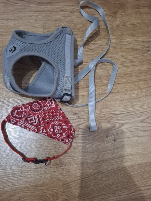 Szelki Smycz ozdobna obróżka