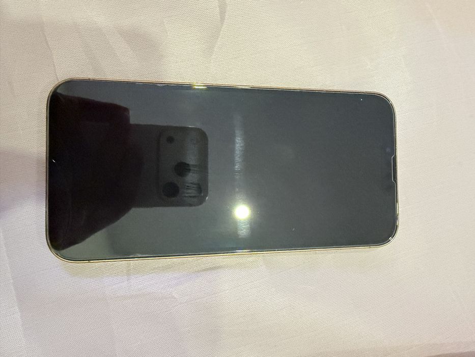 iPhone 13 PRO MAX 256 GB