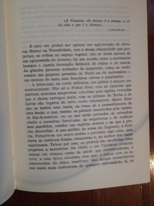 Agustina Bessa-Luís - Os meninos de ouro