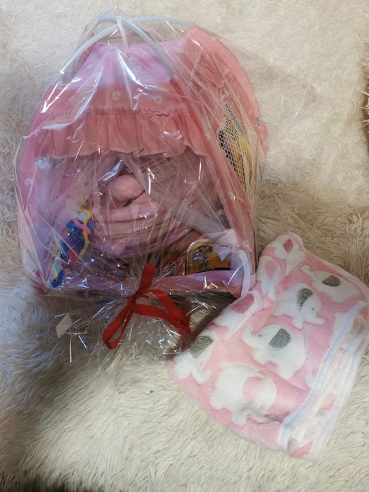 Ragdolek z rodowodem FIFE