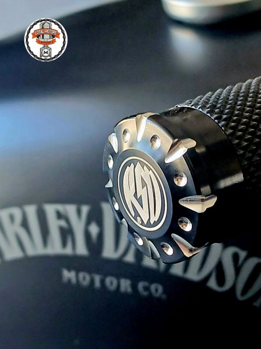 Harley- Davidson iron 883