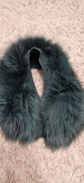 Kołnierzyk norka zielony