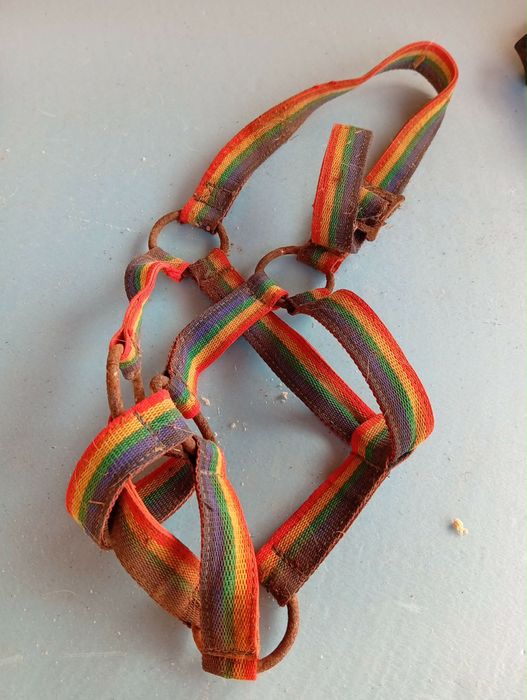 Vende se cabecada para cavalos por 3€