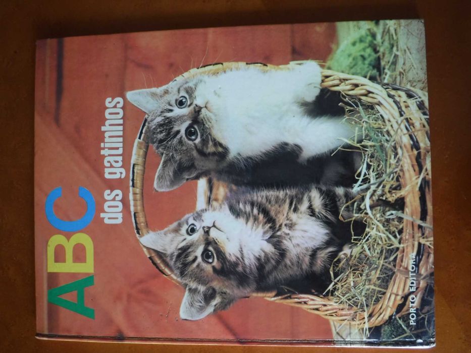 ABC of Kittens - For Learning Letters and Reading - 198164283859678209120