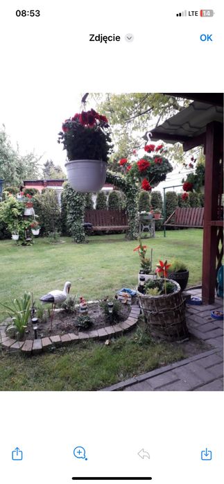 Na sprzedaż Działka ROD RELAX Szałe