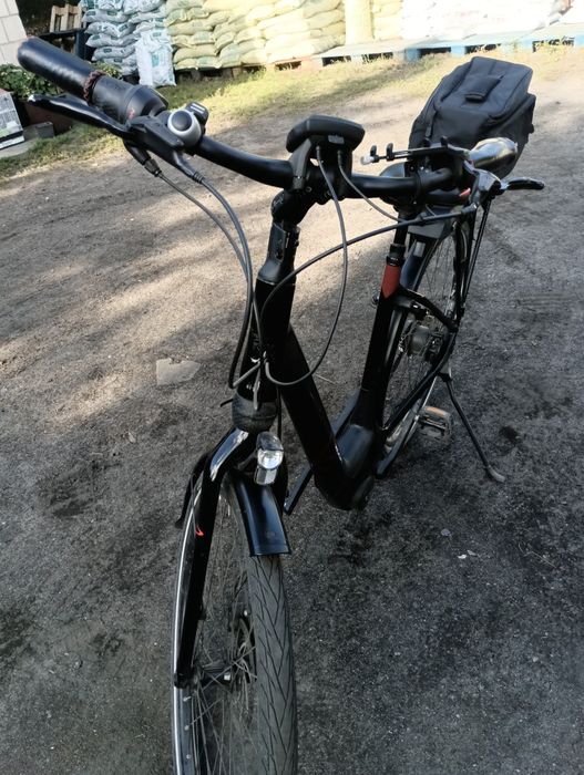 Rower Koga Nova Ewo hybryda