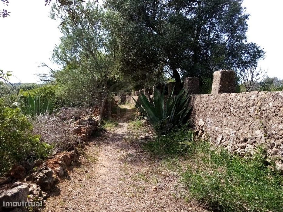 Terreno Rustico com 11 136m2, Loulé, Algarve