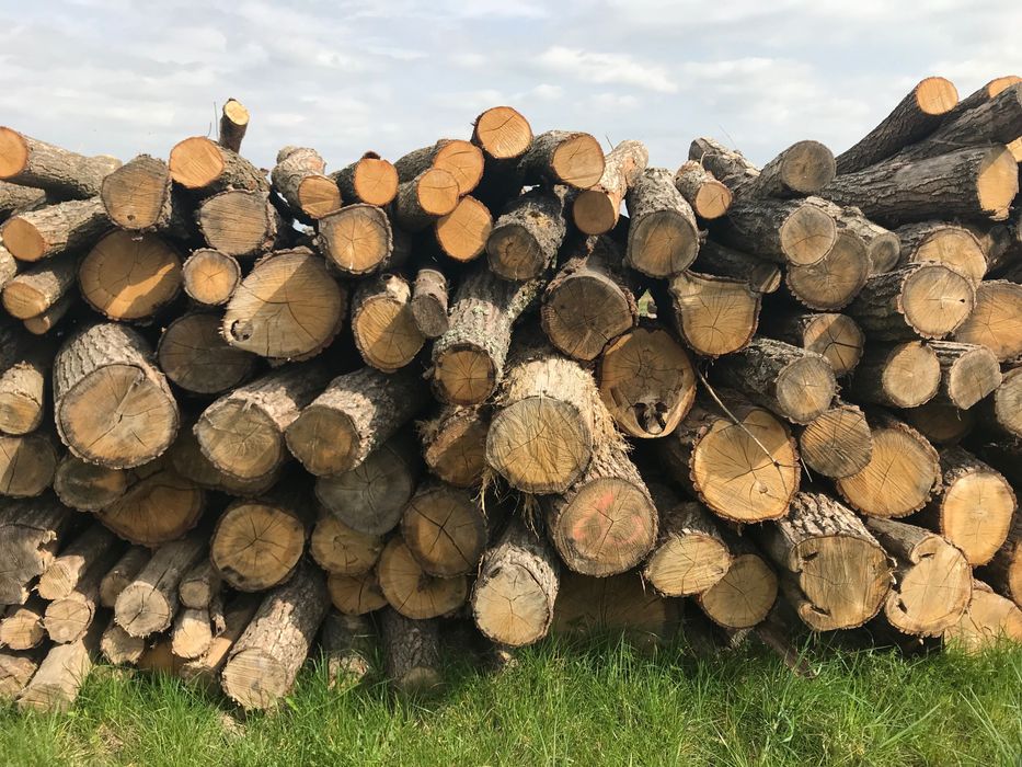 Drewno drzewo opałowe kominkowe kominka pieca opał pniaki suche