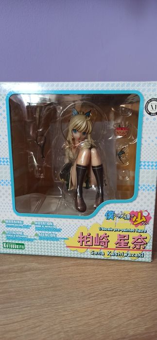 Haganai Sena Kashiwazaki