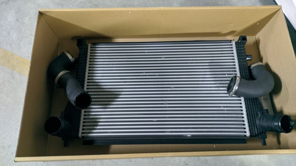 IC original Cupra 300