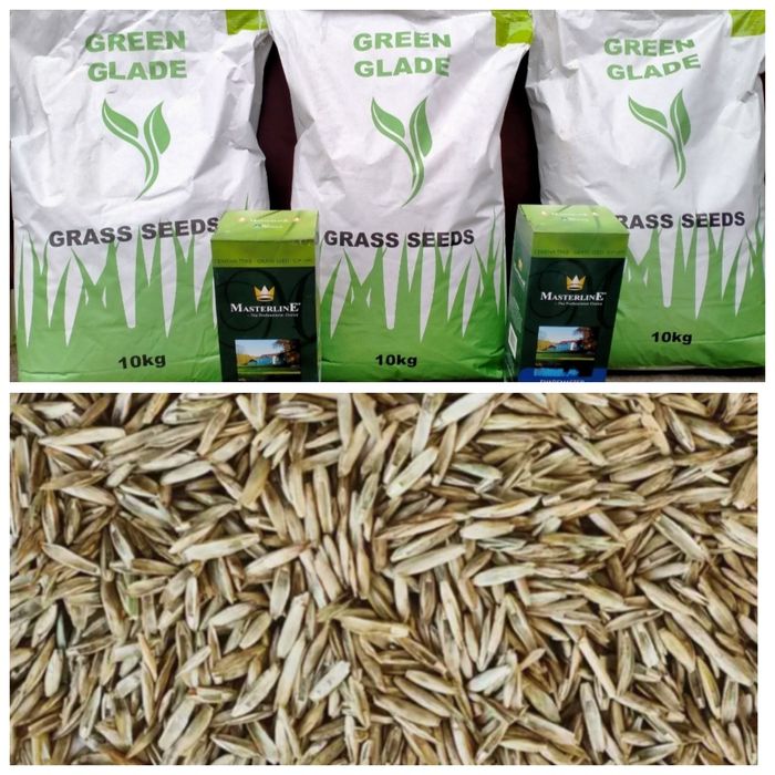 Якісна Газонна трава !!! Спорт, Універсал, Ліліпут
