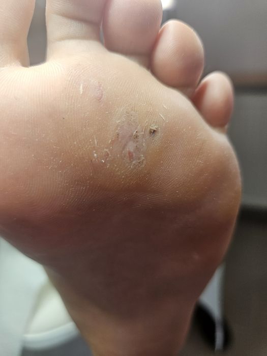 Podolog Mobilny Piaseczno I okolice