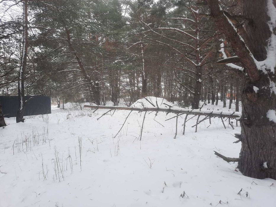 Продаж ділянки, с. Нижча Дубечня (під садівництво)
