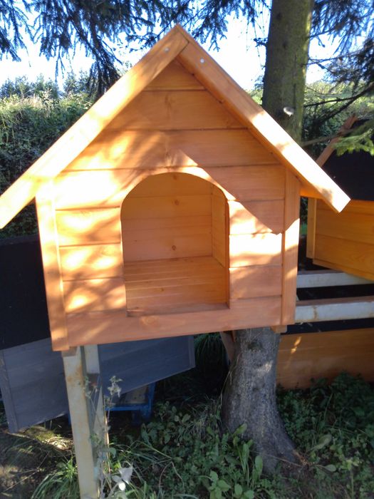 Buda dla psa budy drewniane