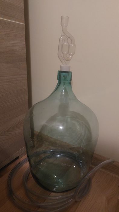 Gąsior, dymion na wino.