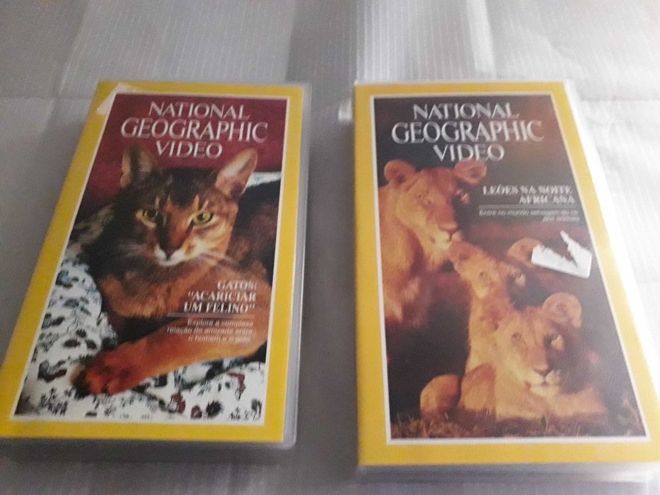 National Geographic DVD (2): Cats and Lions.