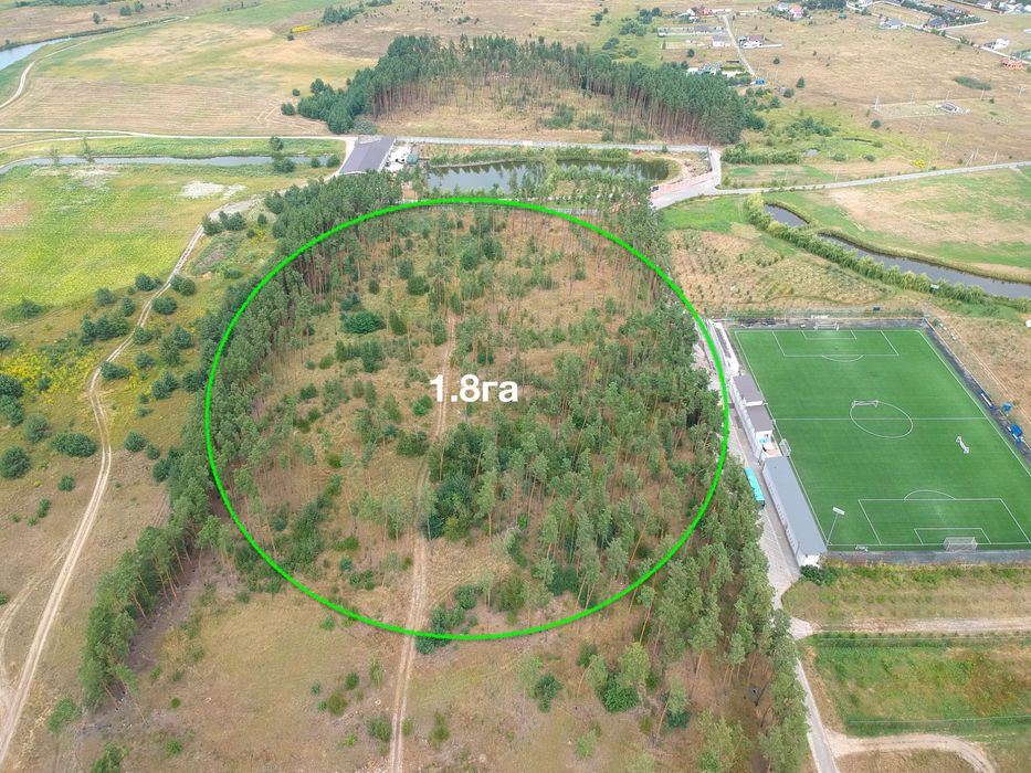 Земельна Ділянка в сосновому лісі 1.8га під забудову 500у, е, сотка