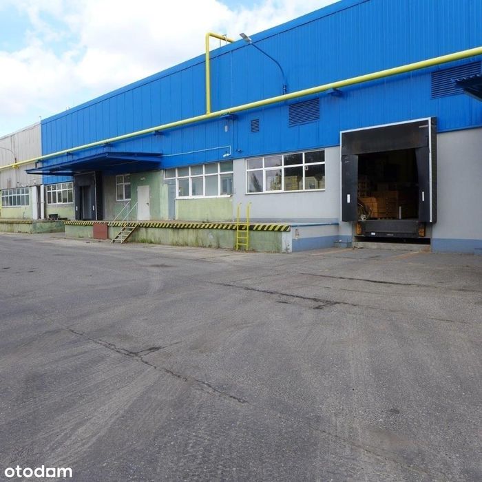 Hala - Magazyn 5200m2, Zielona Góra, Lubuskie