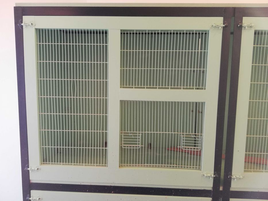 Voadeira Artesanal Robusta para Aves – Preço Reduzido!