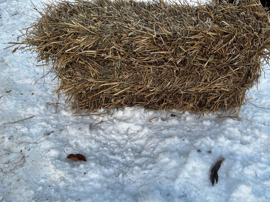 Тюкі соломи. 2025 року врожаю.