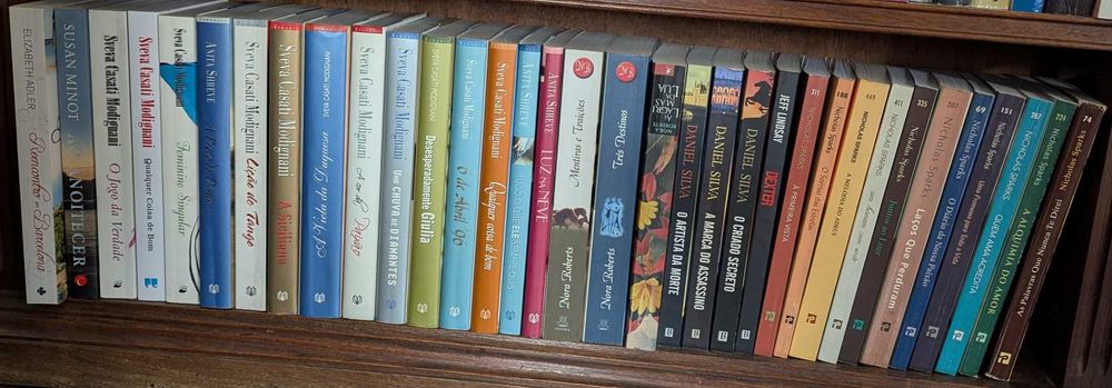 Coleção de Romances / Thrillers / Ficção — +150 livros, muito bom estado